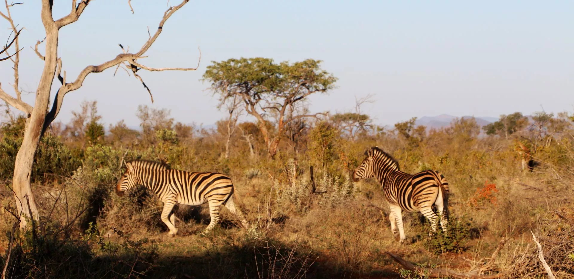 Quênia, África do Sul e Ilhas Maurício